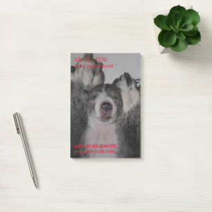 Puppy selling posted notes