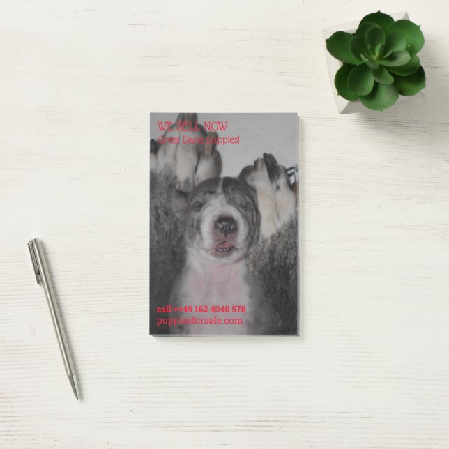 Puppy selling posted notes (Office)