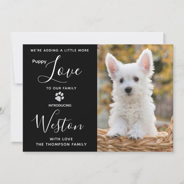 Puppy Shower Party - Black Elegant Modern New Pet Invitation (Front)