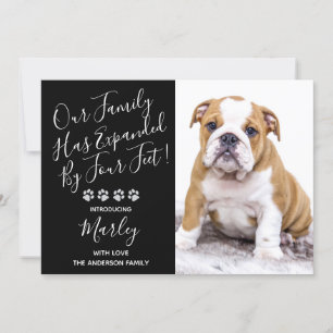 Puppy Shower Party - Elegant Black Modern New Pet Invitation