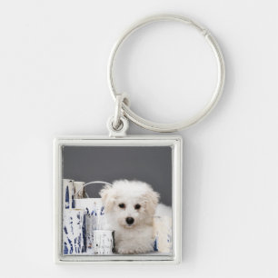 Puppy sitting amongst paint tins key ring