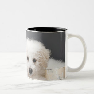 Puppy sitting amongst paint tins Two-Tone coffee mug
