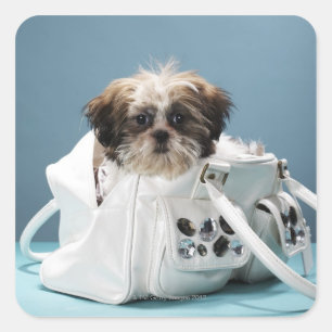 Puppy sitting in handbag square sticker