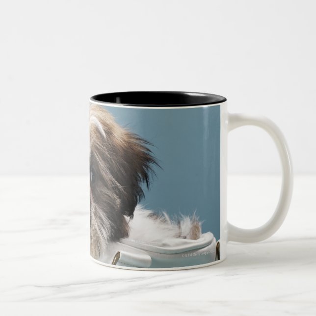 Puppy sitting in handbag Two-Tone coffee mug (Right)