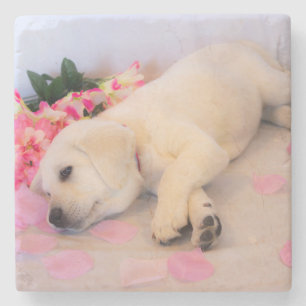 Puppy Sleep Flower 01 Stone Coaster