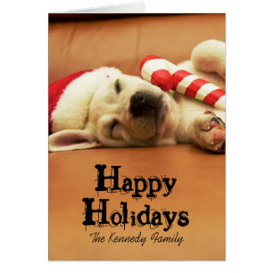 Puppy sleeps on sofa with christmas toys