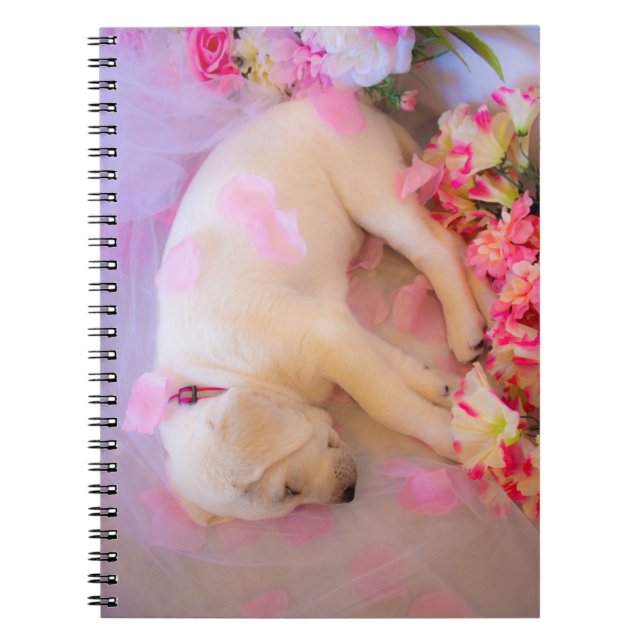 Puppy Sleepy Veil 01 Notebook (Front)