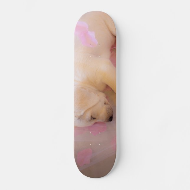 Puppy Sleepy Veil 01 Skateboard (Front)