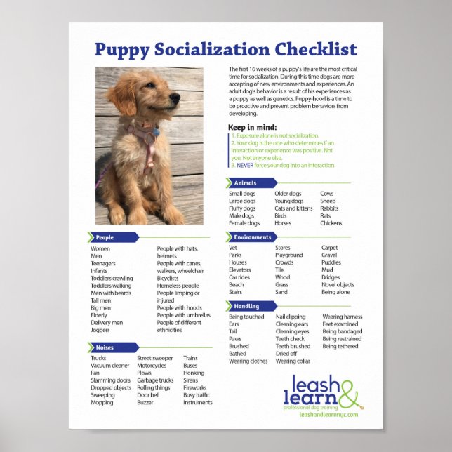 Puppy Socialization Checklist Poster (Front)