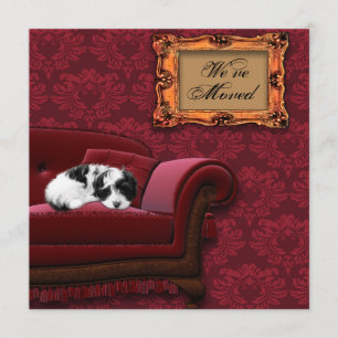 Puppy Sofa Change of Address Postcards