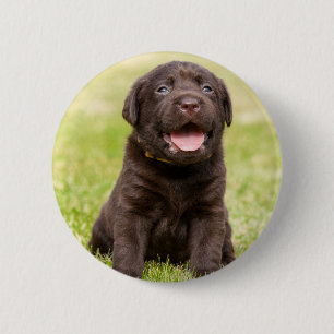 Puppy soft dog 6 cm round badge