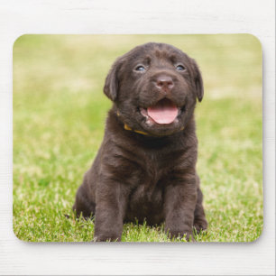 Puppy soft dog mouse pad