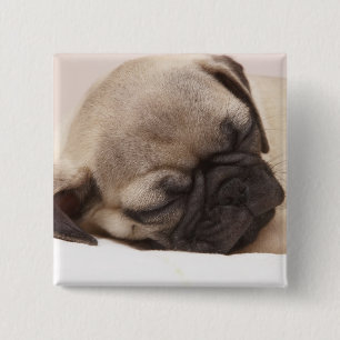 Puppy Soundly Sleeping 15 Cm Square Badge