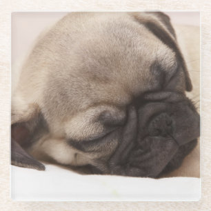Puppy Soundly Sleeping Glass Coaster