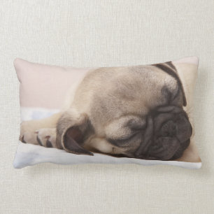 Puppy Soundly Sleeping Lumbar Cushion