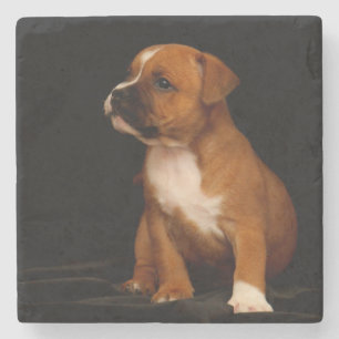 Puppy Stone Coaster
