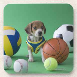 Puppy surrounded by sport balls coaster