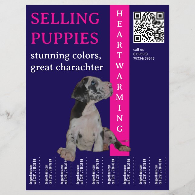 Puppy to sell  flyer (Front)
