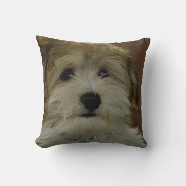 Puppy Too Cute Throw Pillow (Front)