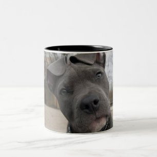 Puppy Two-Tone Coffee Mug