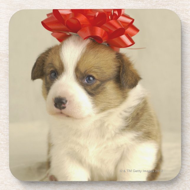 Puppy wearing a red bow coaster (Front)