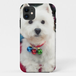 Puppy wearing Christmas bell on neck iPhone 11 Case