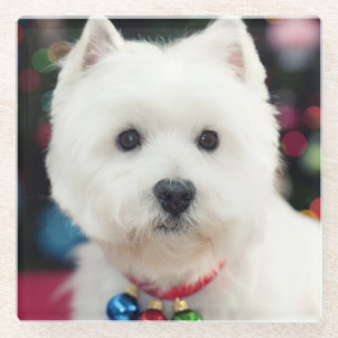 Puppy wearing Christmas bell on neck Glass Coaster