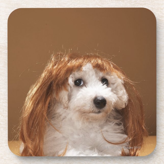 Puppy wearing ginger wig coaster (Front)