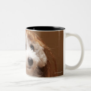 Puppy wearing ginger wig Two-Tone coffee mug