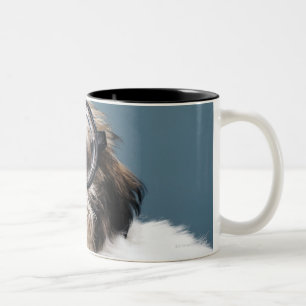 Puppy wearing thick glasses Two-Tone coffee mug