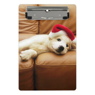 Puppy wears a christmas hat and lying on sofa mini clipboard
