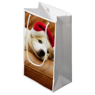 Puppy wears a christmas hat and lying on sofa small gift bag
