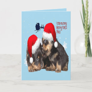Puppy White Christmas With Santa Claus Sleigh  Holiday Card
