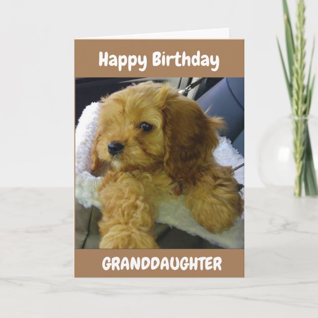 PUPPY WISHES FOR **GRANDDAUGHTER** BIRTHDAY CARD (Front)