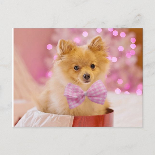 Puppy with Bow Postcard (Front)