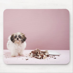 Puppy with cake on floor mouse pad
