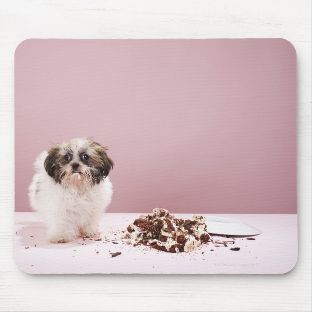 Puppy with cake on floor mouse pad (Front)