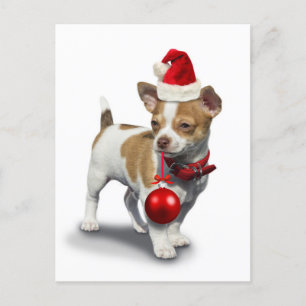 Puppy with christmas hat and Ball Postcard