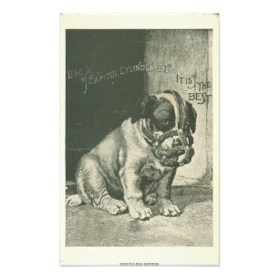 Puppy with Muzzle Ephemera Photo Print