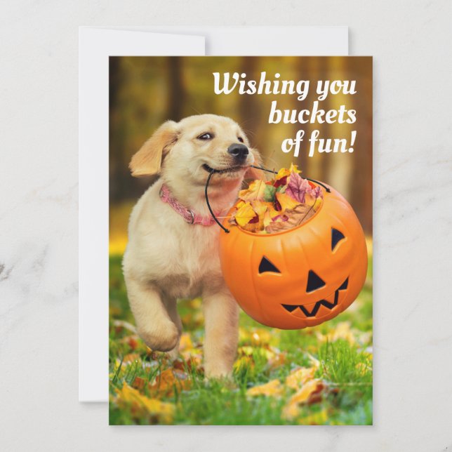Puppy With Pumpkin Bucket Invitation (Front)