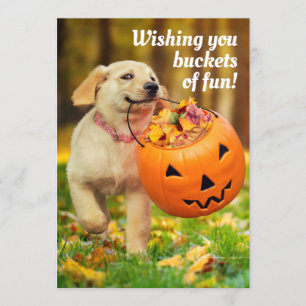 Puppy With Pumpkin Bucket Invitation