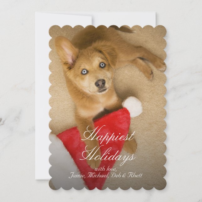 Puppy with Santa Claus hat Holiday Card (Front)