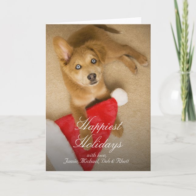 Puppy with Santa Claus hat Holiday Card (Front)