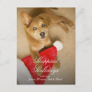 Puppy with Santa Claus hat Holiday Postcard