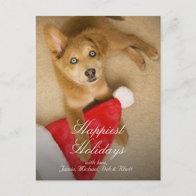 Puppy with Santa Claus hat Holiday Postcard (Front)