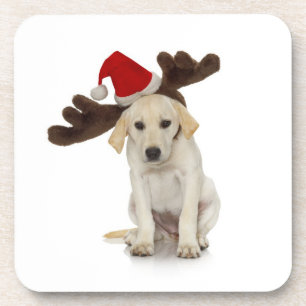 Puppy with Santa Hat and Reindeer Ears Coaster