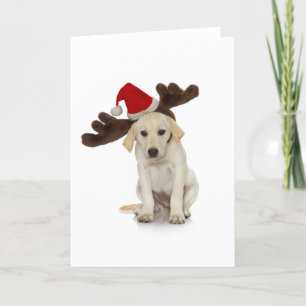 Puppy with Santa Hat and Reindeer Ears Holiday Card