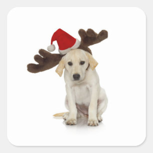Puppy with Santa Hat and Reindeer Ears Square Sticker