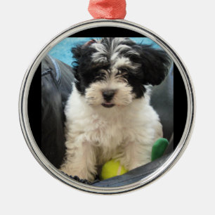 Puppy with Tennis Ball  Rescue Metal Ornament