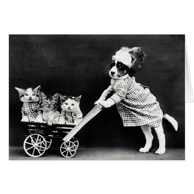 Puppy with Three Kittens in a Carriage (Front Horizontal)